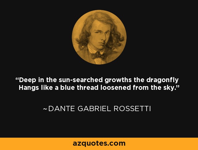 Deep in the sun-searched growths the dragonfly Hangs like a blue thread loosened from the sky. - Dante Gabriel Rossetti