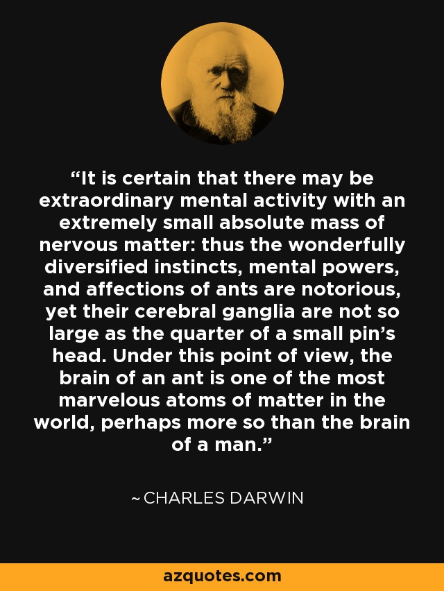 It is certain that there may be extraordinary mental activity with an extremely small absolute mass of nervous matter: thus the wonderfully diversified instincts, mental powers, and affections of ants are notorious, yet their cerebral ganglia are not so large as the quarter of a small pin's head. Under this point of view, the brain of an ant is one of the most marvelous atoms of matter in the world, perhaps more so than the brain of a man. - Charles Darwin