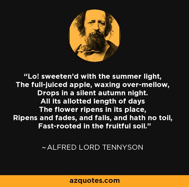 Lo! sweeten'd with the summer light, The full-juiced apple, waxing over-mellow, Drops in a silent autumn night. All its allotted length of days The flower ripens in its place, Ripens and fades, and falls, and hath no toil, Fast-rooted in the fruitful soil. - Alfred Lord Tennyson