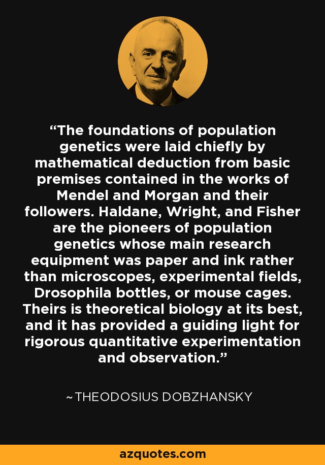 The foundations of population genetics were laid chiefly by mathematical deduction from basic premises contained in the works of Mendel and Morgan and their followers. Haldane, Wright, and Fisher are the pioneers of population genetics whose main research equipment was paper and ink rather than microscopes, experimental fields, Drosophila bottles, or mouse cages. Theirs is theoretical biology at its best, and it has provided a guiding light for rigorous quantitative experimentation and observation. - Theodosius Dobzhansky