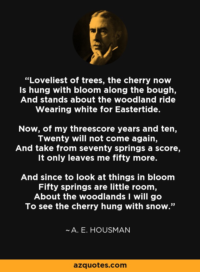 Loveliest of trees, the cherry now Is hung with bloom along the bough, And stands about the woodland ride Wearing white for Eastertide. Now, of my threescore years and ten, Twenty will not come again, And take from seventy springs a score, It only leaves me fifty more. And since to look at things in bloom Fifty springs are little room, About the woodlands I will go To see the cherry hung with snow. - A. E. Housman