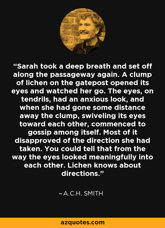 Sarah took a deep breath and set off along the passageway again. A clump of lichen on the gatepost opened its eyes and watched her go. The eyes, on tendrils, had an anxious look, and when she had gone some distance away the clump, swiveling its eyes toward each other, commenced to gossip among itself. Most of it disapproved of the direction she had taken. You could tell that from the way the eyes looked meaningfully into each other. Lichen knows about directions. - A.C.H. Smith
