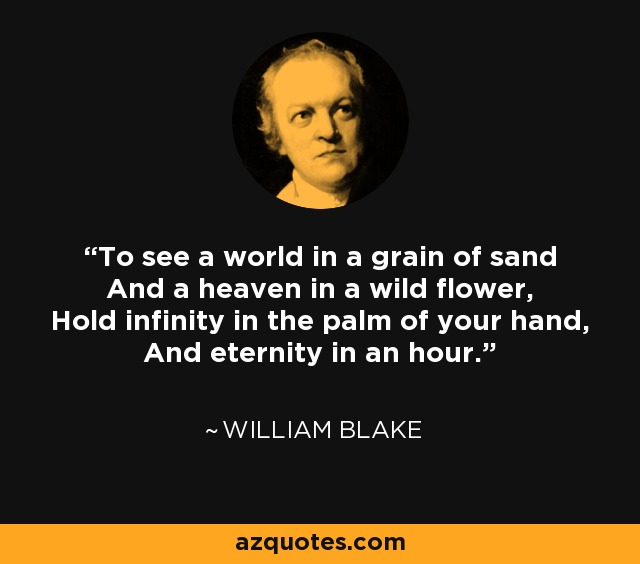 To see a world in a grain of sand And a heaven in a wild flower, Hold infinity in the palm of your hand, And eternity in an hour. - William Blake