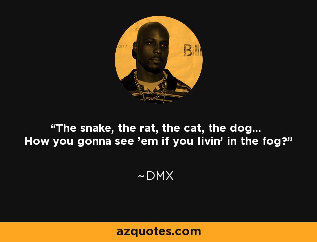 The snake, the rat, the cat, the dog... How you gonna see 'em if you livin' in the fog? - DMX