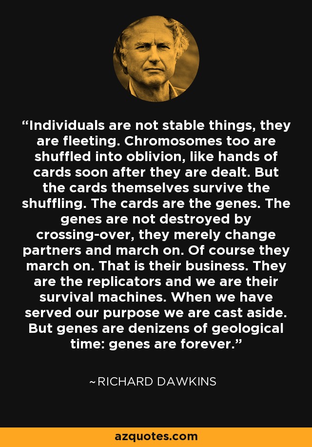 Individuals are not stable things, they are fleeting. Chromosomes too are shuffled into oblivion, like hands of cards soon after they are dealt. But the cards themselves survive the shuffling. The cards are the genes. The genes are not destroyed by crossing-over, they merely change partners and march on. Of course they march on. That is their business. They are the replicators and we are their survival machines. When we have served our purpose we are cast aside. But genes are denizens of geological time: genes are forever. - Richard Dawkins