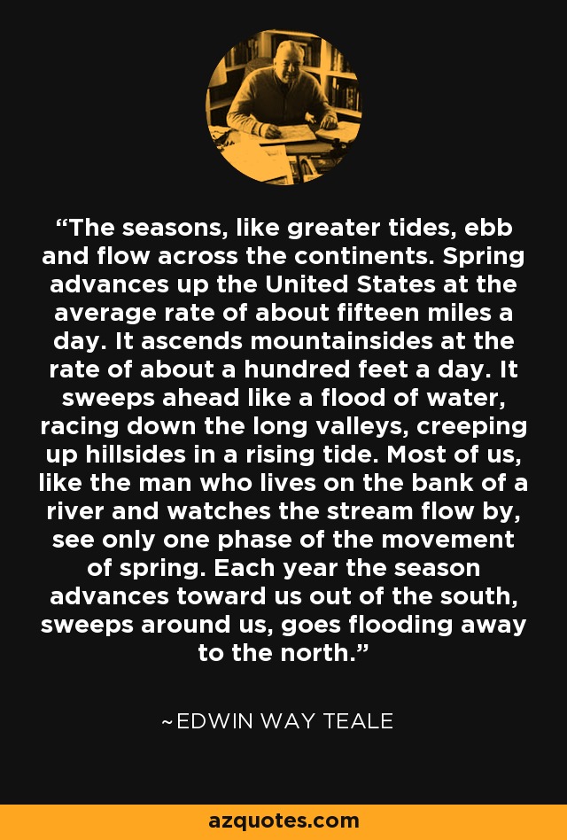 The seasons, like greater tides, ebb and flow across the continents. Spring advances up the United States at the average rate of about fifteen miles a day. It ascends mountainsides at the rate of about a hundred feet a day. It sweeps ahead like a flood of water, racing down the long valleys, creeping up hillsides in a rising tide. Most of us, like the man who lives on the bank of a river and watches the stream flow by, see only one phase of the movement of spring. Each year the season advances toward us out of the south, sweeps around us, goes flooding away to the north. - Edwin Way Teale