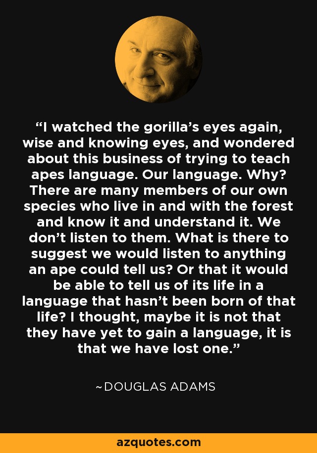 I watched the gorilla's eyes again, wise and knowing eyes, and wondered about this business of trying to teach apes language. Our language. Why? There are many members of our own species who live in and with the forest and know it and understand it. We don't listen to them. What is there to suggest we would listen to anything an ape could tell us? Or that it would be able to tell us of its life in a language that hasn't been born of that life? I thought, maybe it is not that they have yet to gain a language, it is that we have lost one. - Douglas Adams