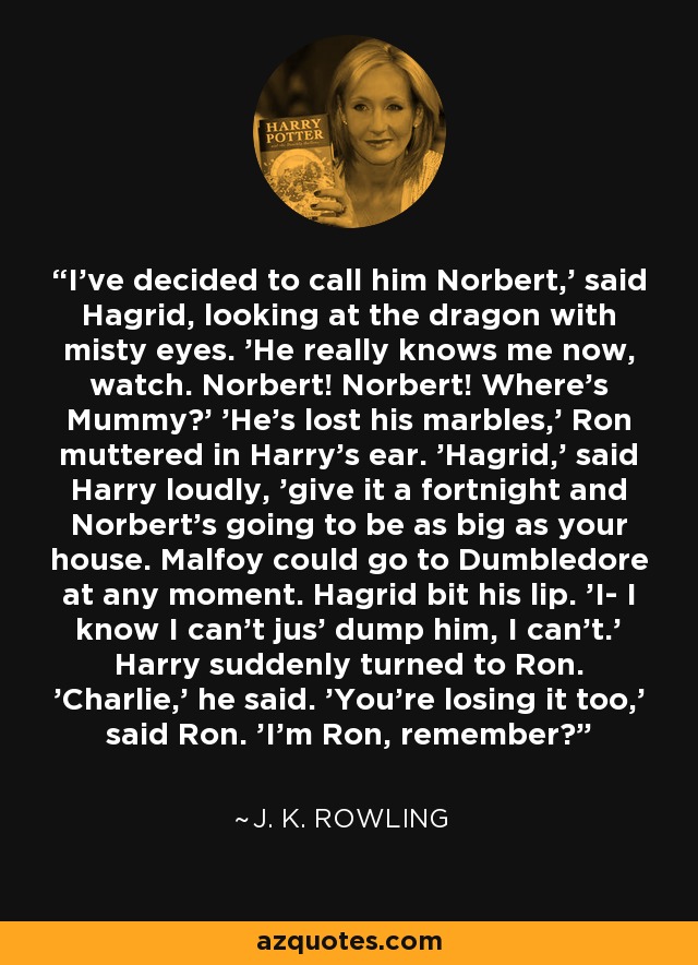 I've decided to call him Norbert,' said Hagrid, looking at the dragon with misty eyes. 'He really knows me now, watch. Norbert! Norbert! Where's Mummy?' 'He's lost his marbles,' Ron muttered in Harry's ear. 'Hagrid,' said Harry loudly, 'give it a fortnight and Norbert's going to be as big as your house. Malfoy could go to Dumbledore at any moment. Hagrid bit his lip. 'I- I know I can't jus' dump him, I can't.' Harry suddenly turned to Ron. 'Charlie,' he said. 'You're losing it too,' said Ron. 'I'm Ron, remember? - J. K. Rowling