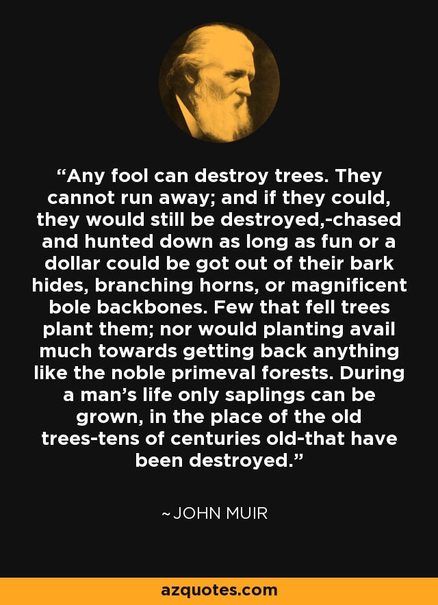 Any fool can destroy trees. They cannot run away; and if they could, they would still be destroyed,-chased and hunted down as long as fun or a dollar could be got out of their bark hides, branching horns, or magnificent bole backbones. Few that fell trees plant them; nor would planting avail much towards getting back anything like the noble primeval forests. During a man's life only saplings can be grown, in the place of the old trees-tens of centuries old-that have been destroyed. - John Muir
