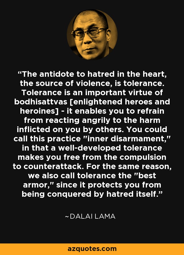 The antidote to hatred in the heart, the source of violence, is tolerance. Tolerance is an important virtue of bodhisattvas [enlightened heroes and heroines] - it enables you to refrain from reacting angrily to the harm inflicted on you by others. You could call this practice 