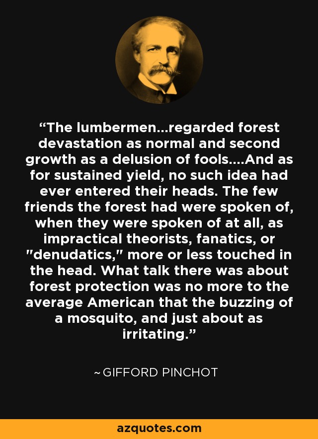 The lumbermen...regarded forest devastation as normal and second growth as a delusion of fools....And as for sustained yield, no such idea had ever entered their heads. The few friends the forest had were spoken of, when they were spoken of at all, as impractical theorists, fanatics, or 