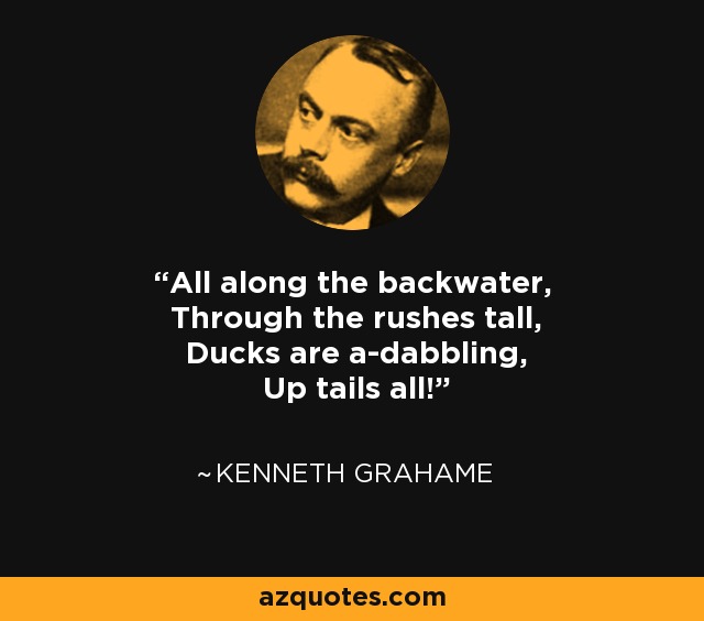 All along the backwater, Through the rushes tall, Ducks are a-dabbling, Up tails all! - Kenneth Grahame