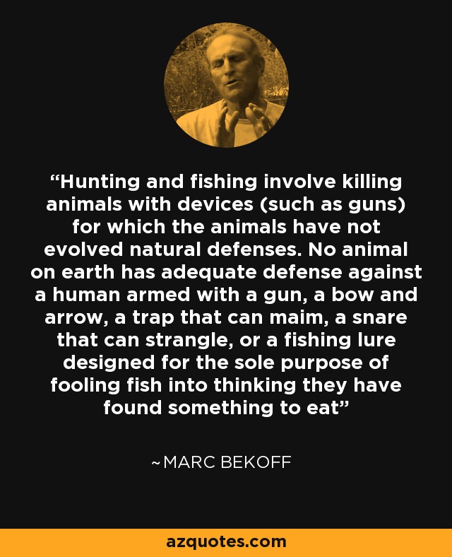 Hunting and fishing involve killing animals with devices (such as guns) for which the animals have not evolved natural defenses. No animal on earth has adequate defense against a human armed with a gun, a bow and arrow, a trap that can maim, a snare that can strangle, or a fishing lure designed for the sole purpose of fooling fish into thinking they have found something to eat - Marc Bekoff