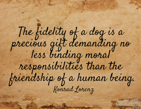 The fidelity of a dog is a precious gift demanding no less binding moral responsibilities than the friendship of a human being. - Konrad Lorenz