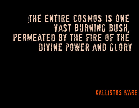 The entire cosmos is one vast burning bush, permeated by the fire of the divine power and glory - Kallistos Ware